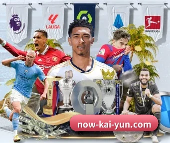 开云 APP(kaiyun)